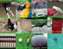 AI Classification